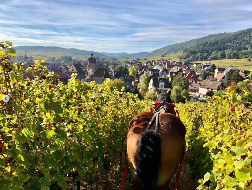 Domaine La Grange de L'oncle Charles