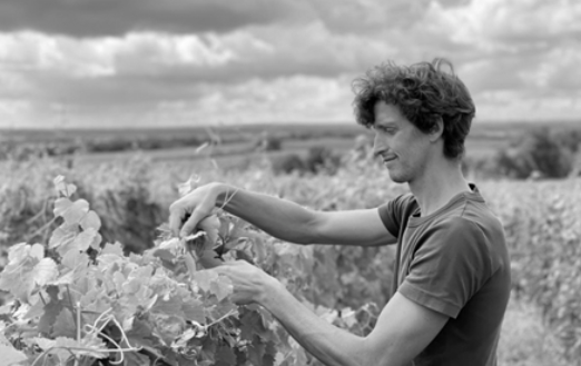 Domaine Le clos Des Plantes