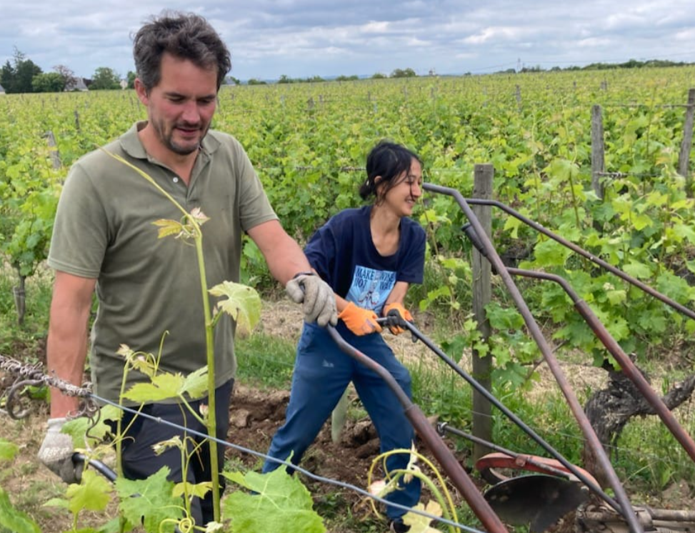 Domaine La Chance