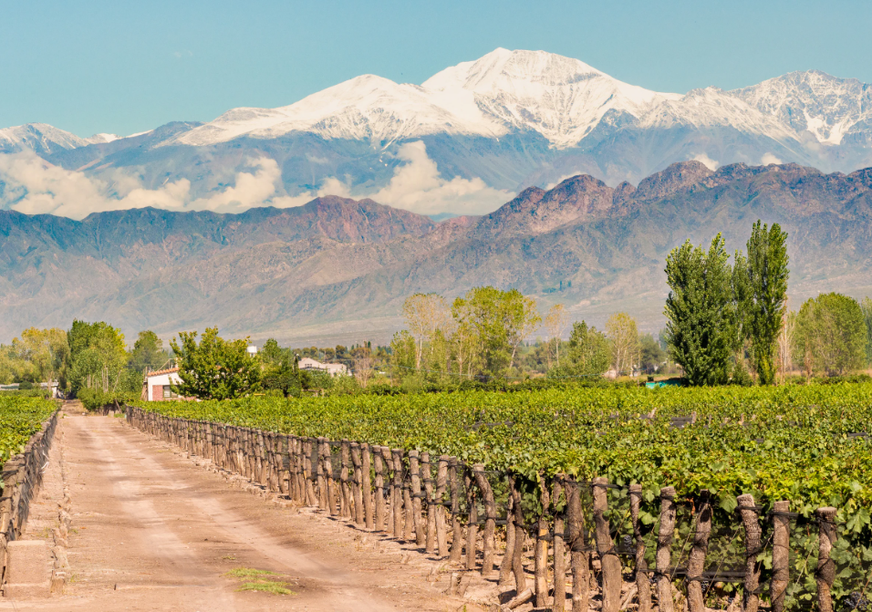 Vins de montagne, Jura & Savoie