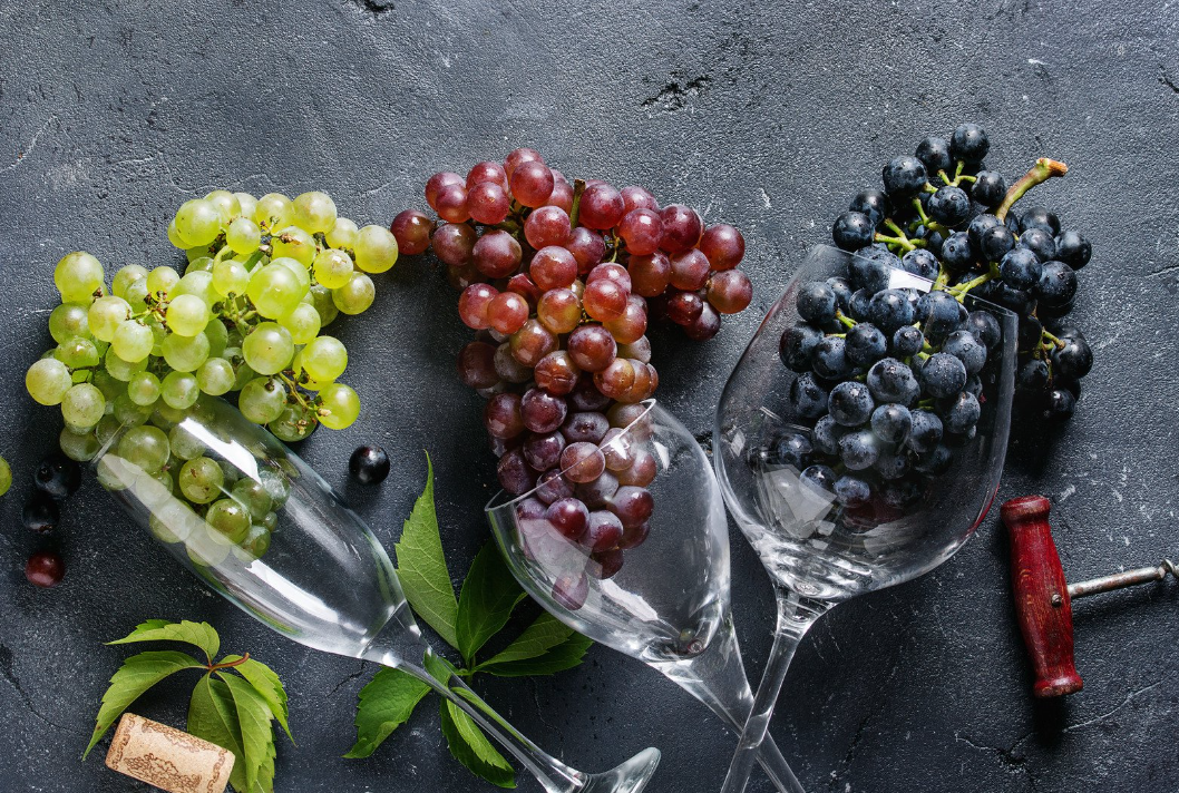 La différence : Vin Naturel & Vin Conventionnel