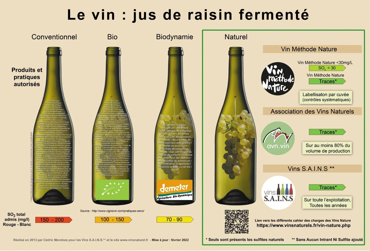 Tout savoir  sur les vins  “naturels”