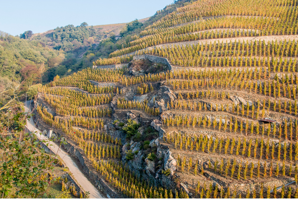 Les “Grandes”  appellations  de France